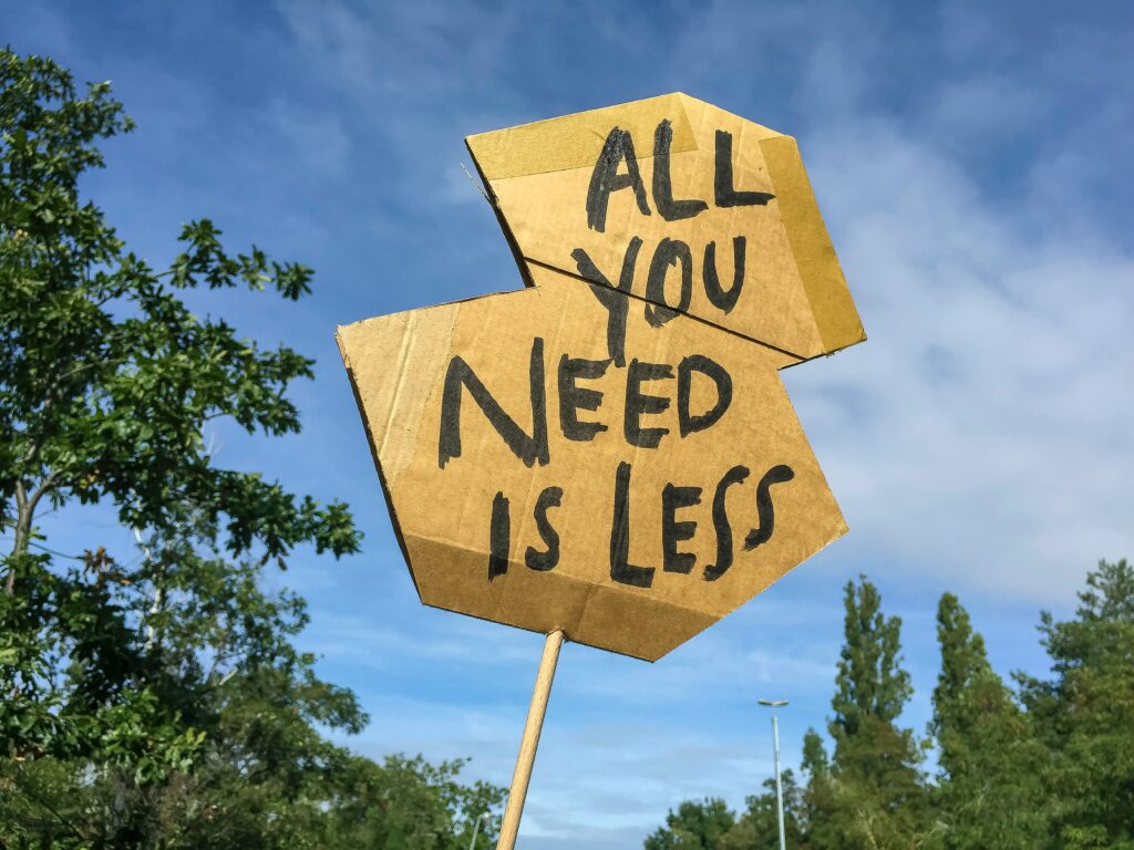 A cardboard sign held up on a stick in front of treetops and a blue sky reads: All you need is less.